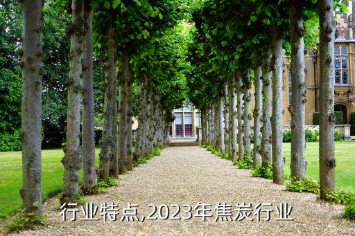 焦炭行业特点,2023年焦炭行业