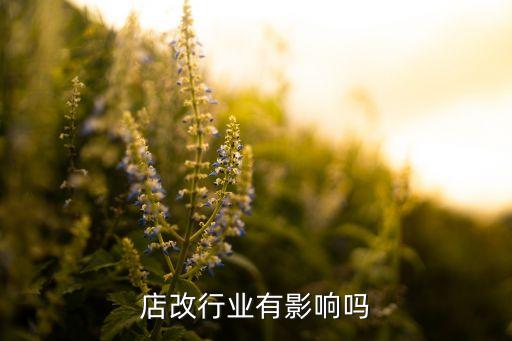 淘宝店改行业有影响吗