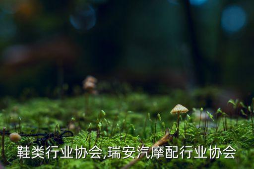 瑞安鞋类行业协会,瑞安汽摩配行业协会