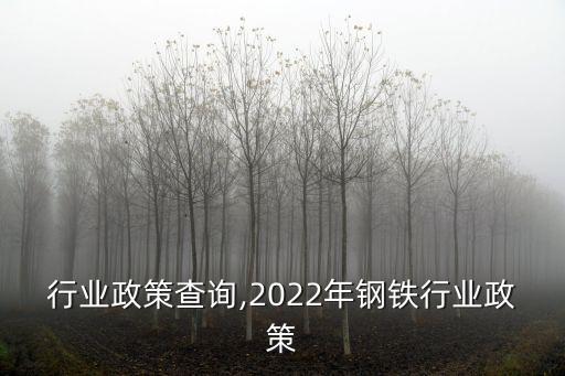 钢铁行业政策查询,2022年钢铁行业政策