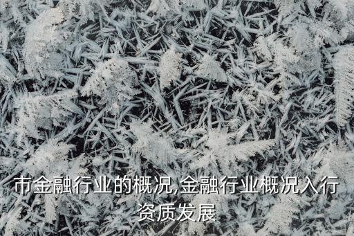 潍坊市金融行业的概况,金融行业概况入行资质发展