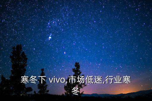 行业寒冬下 vivo,市场低迷,行业寒冬