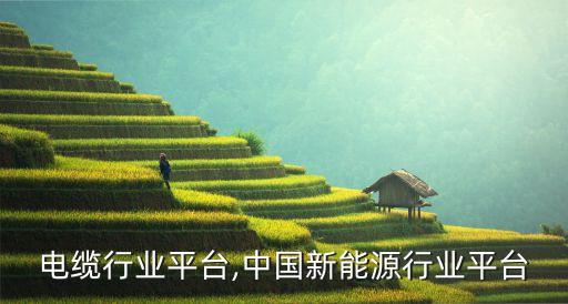 中国电缆行业平台,中国新能源行业平台