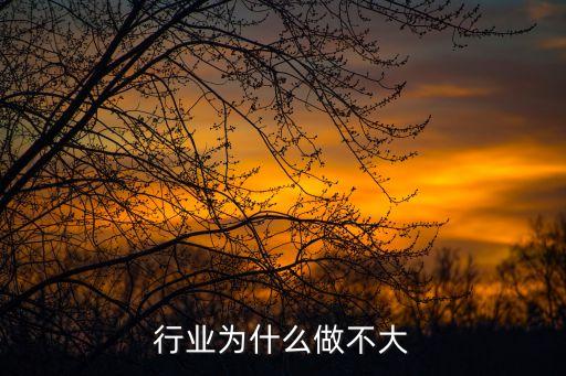 装修行业为什么做不大