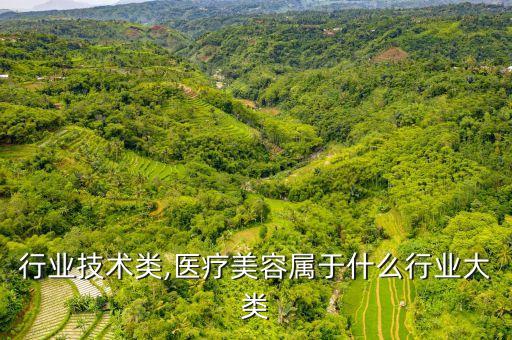 美容行业技术类,医疗美容属于什么行业大类