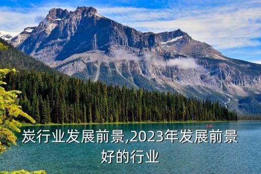 活性炭行业发展前景,2023年发展前景好的行业