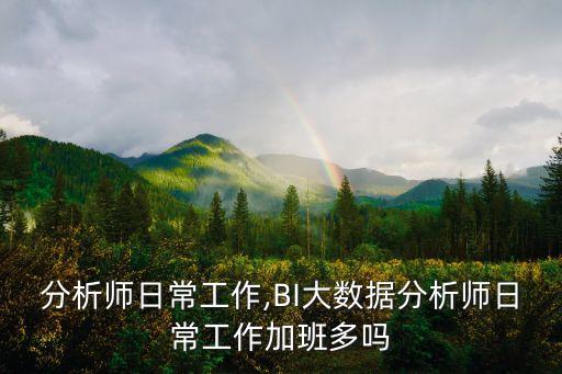 行业分析师日常工作,BI大数据分析师日常工作加班多吗