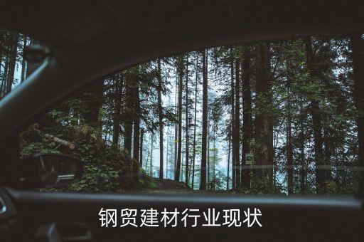 国内钢贸建材行业现状