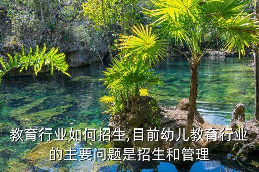 幼儿教育行业如何招生,目前幼儿教育行业的主要问题是招生和管理