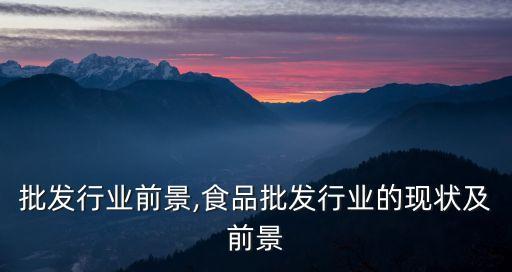 钻石批发行业前景,食品批发行业的现状及前景