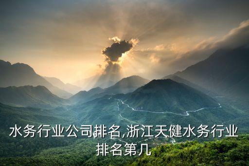 中国水务行业公司排名,浙江天健水务行业排名第几