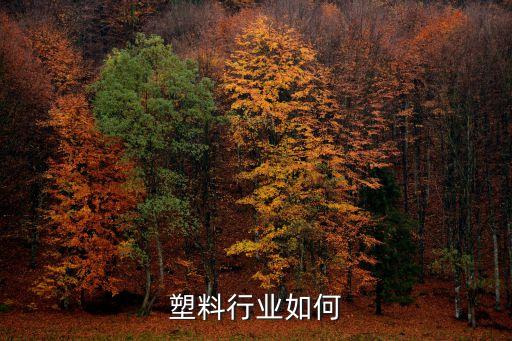工程塑料行业如何