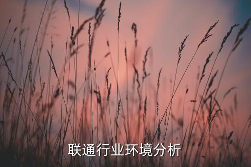 中国联通行业环境分析