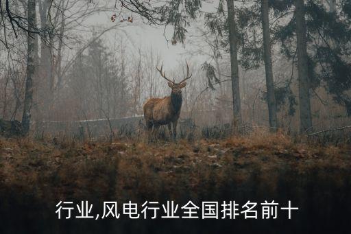 风电 行业,风电行业全国排名前十