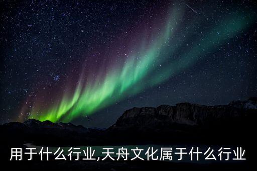 钨舟用于什么行业,天舟文化属于什么行业