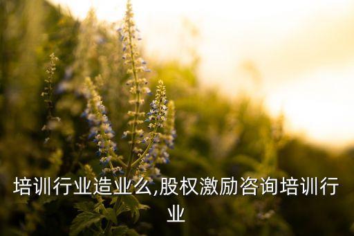 咨询培训行业造业么,股权激励咨询培训行业