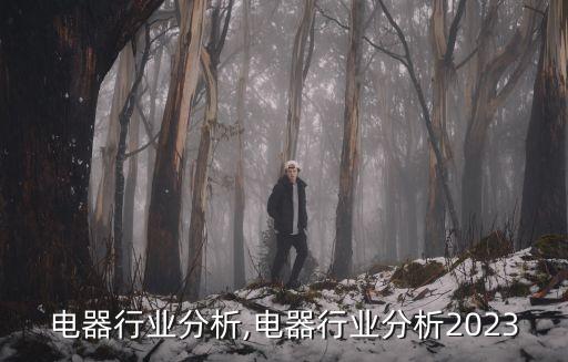卫浴电器行业分析,电器行业分析2023