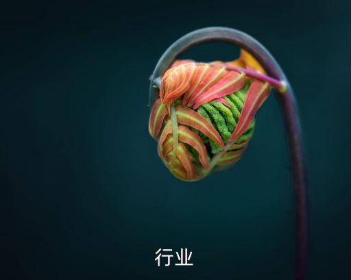 不限行业