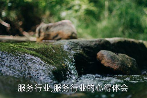 机械服务行业,服务行业的心得体会