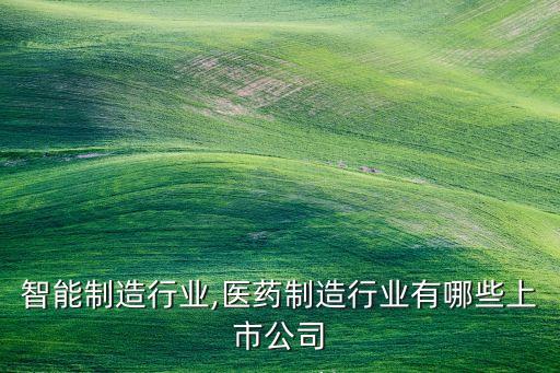 医药智能制造行业,医药制造行业有哪些上市公司