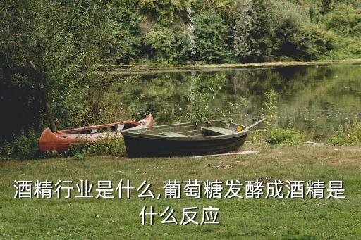发酵酒精行业是什么,葡萄糖发酵成酒精是什么反应