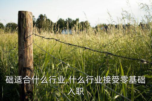 零基础适合什么行业,什么行业接受零基础入职
