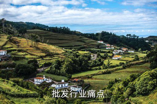 建材批发行业痛点