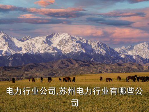 成都电力行业公司,苏州电力行业有哪些公司