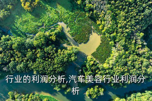 饼干行业的利润分析,汽车美容行业利润分析