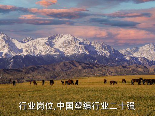 塑编行业岗位,中国塑编行业二十强