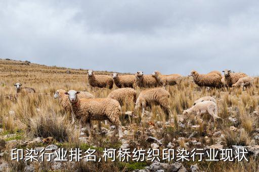 纺织印染行业排名,柯桥纺织印染行业现状