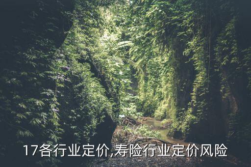 2017各行业定价,寿险行业定价风险
