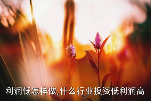 行业利润低怎样做,什么行业投资低利润高