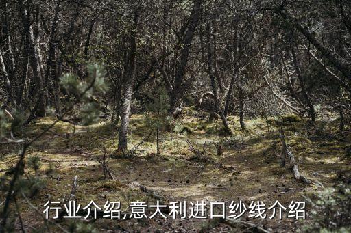 纱线行业介绍,意大利进口纱线介绍