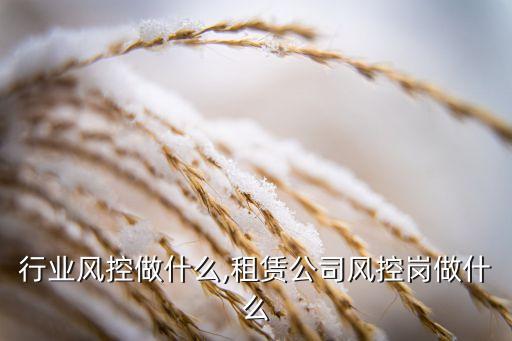 租赁行业风控做什么,租赁公司风控岗做什么