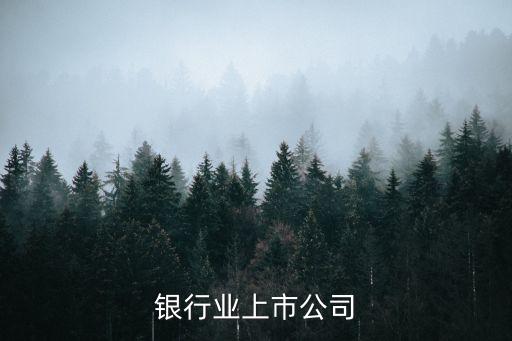 中国银行业上市公司