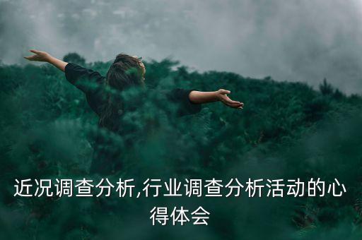 行业近况调查分析,行业调查分析活动的心得体会