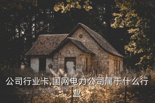 电力公司行业卡,国网电力公司属于什么行业
