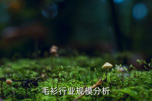 中国毛衫行业规模分析
