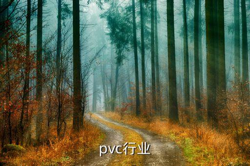 英德pvc行业