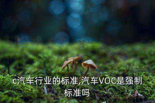 voc汽车行业的标准,汽车VOC是强制标准吗