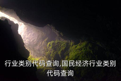 最新行业类别代码查询,国民经济行业类别代码查询