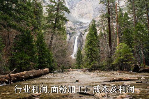 面粉行业利润,面粉加工厂成本及利润