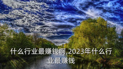 网上什么行业最赚钱啊,2023年什么行业最赚钱