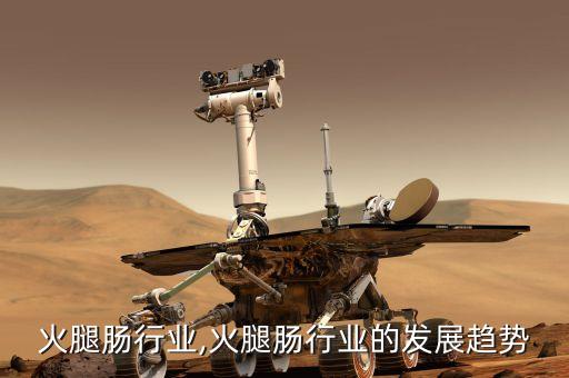 中国火腿肠行业,火腿肠行业的发展趋势