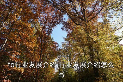 auto行业发展介绍,行业发展介绍怎么写