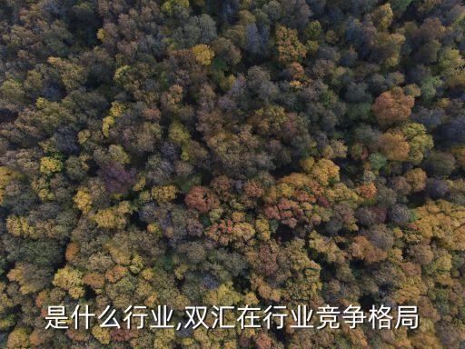 双汇是什么行业,双汇在行业竞争格局