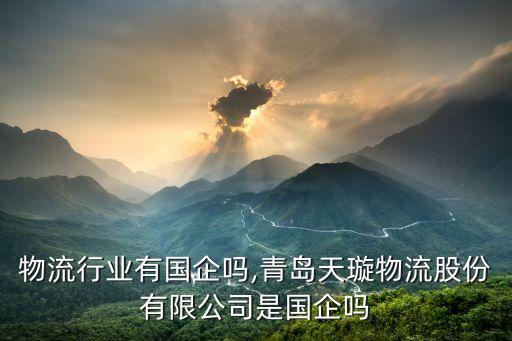 青岛物流行业有国企吗,青岛天璇物流股份有限公司是国企吗