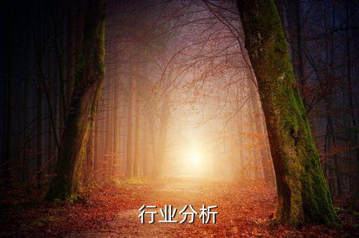 脉动行业分析