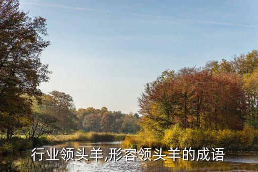 形容行业领头羊,形容领头羊的成语